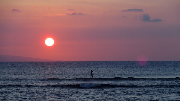 P2221643 (640x360) (640x360)