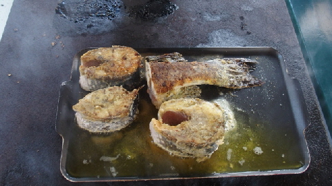 P9130526 (640x360) (640x360)