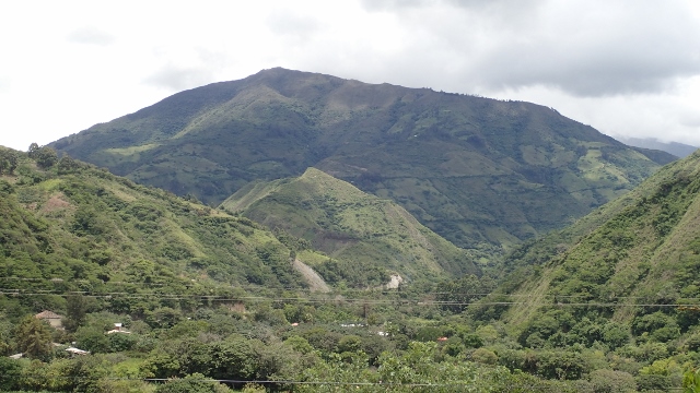 &uuml;berall w&auml;chst Kaffee
