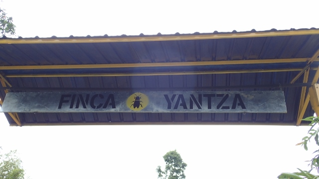 Finca von Santi und Bettina