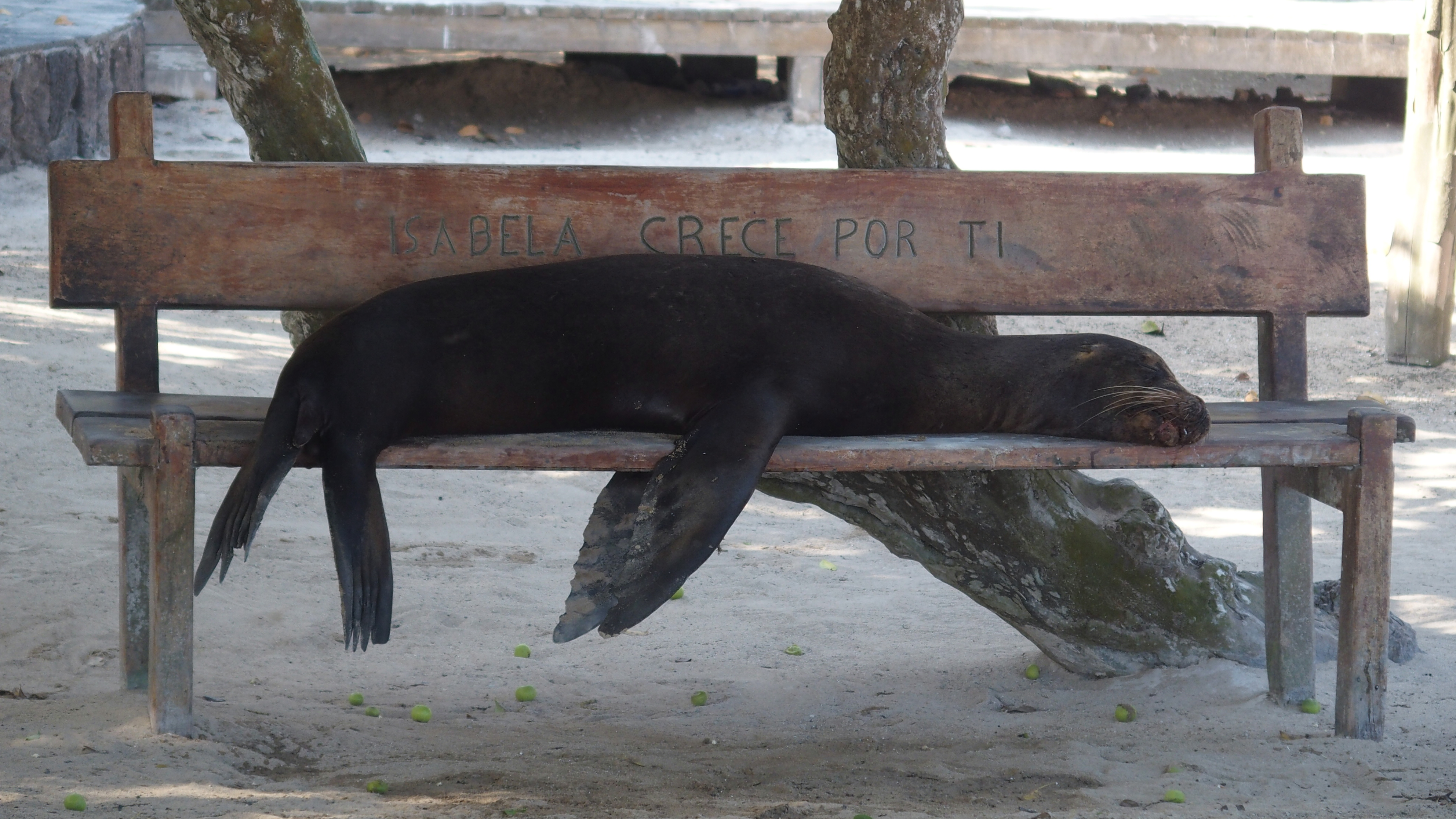 weg da......................