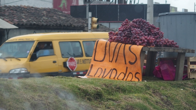 auf der Autobahn....gereinigte Trauben. Klar bei Platzregen!