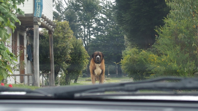 BARRY wartet schon auf uns