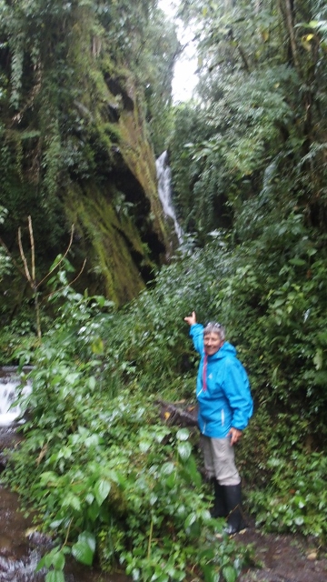 im eigenen Wald mit geliehenen Gummistiefeln