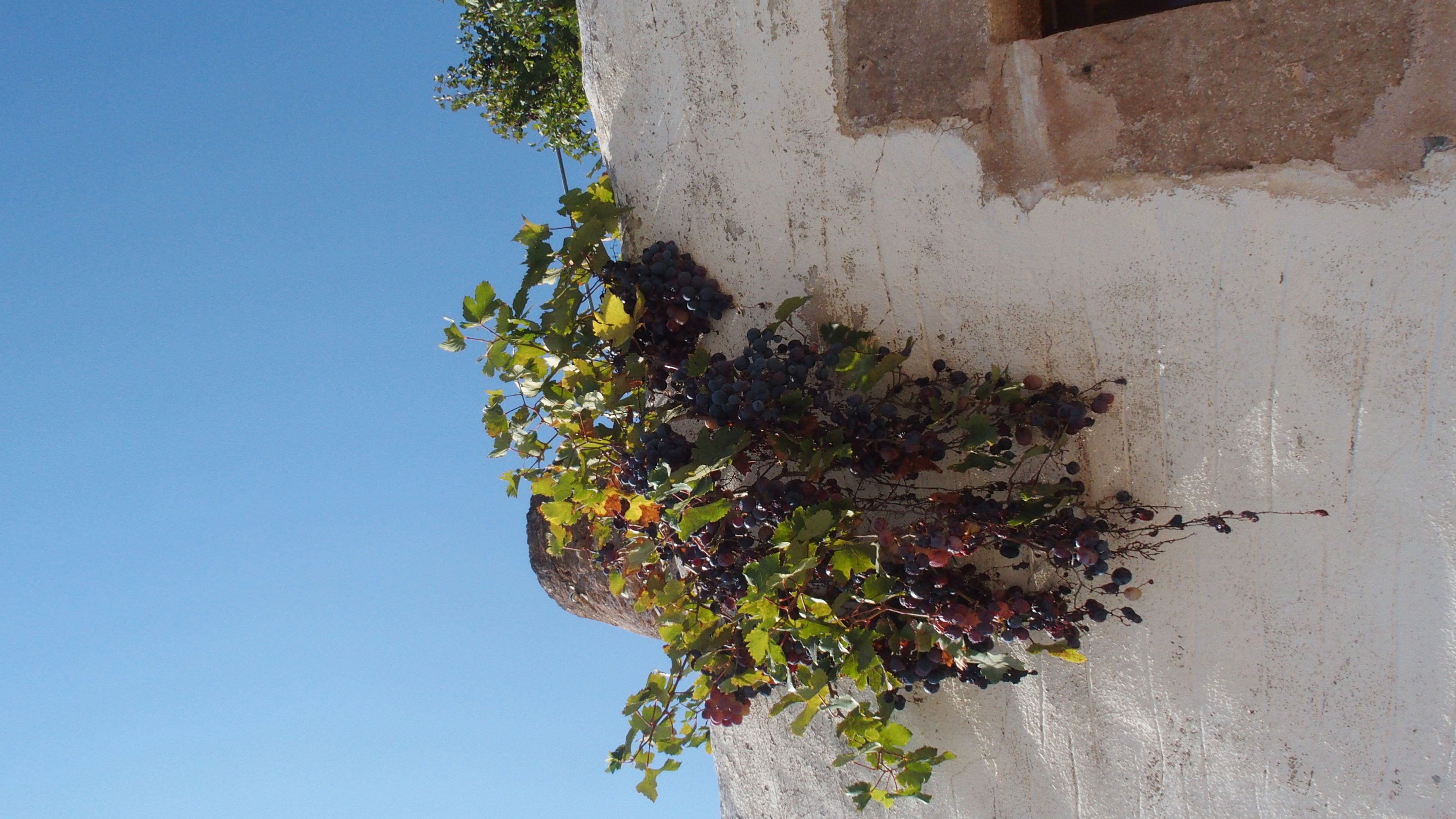 Dach des Wassermuseums
